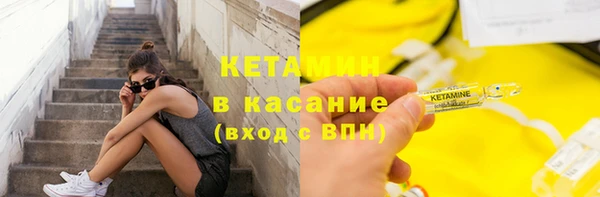 трава Белокуриха