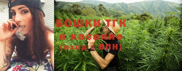 трава Белокуриха