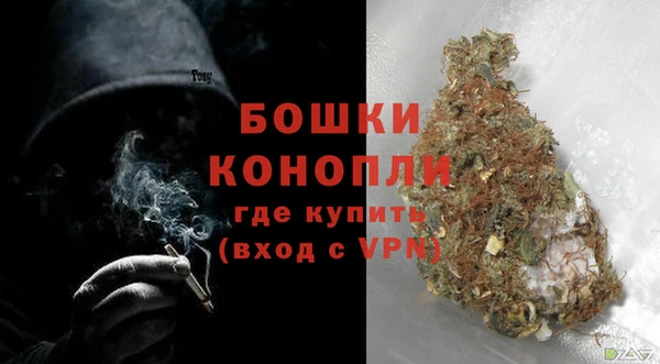 трава Белокуриха